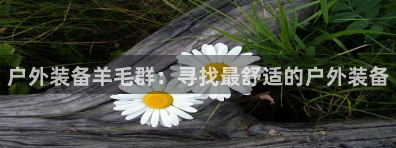 行新宝gg