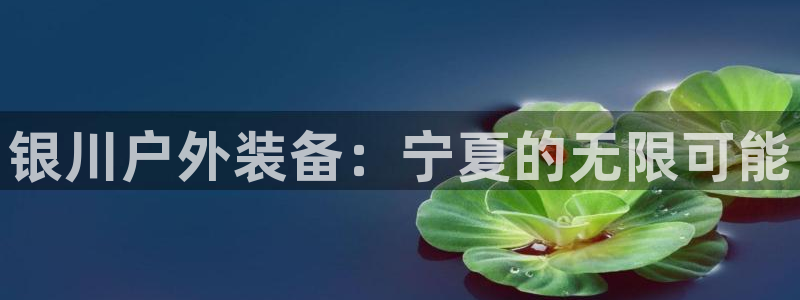 新宝gg官网