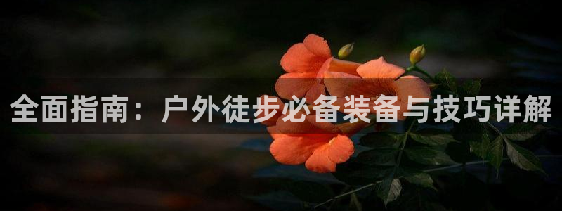 新宝gg客户端下载