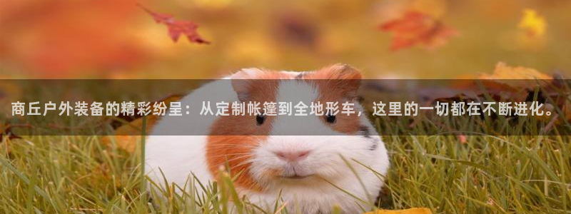 谁有新宝GG