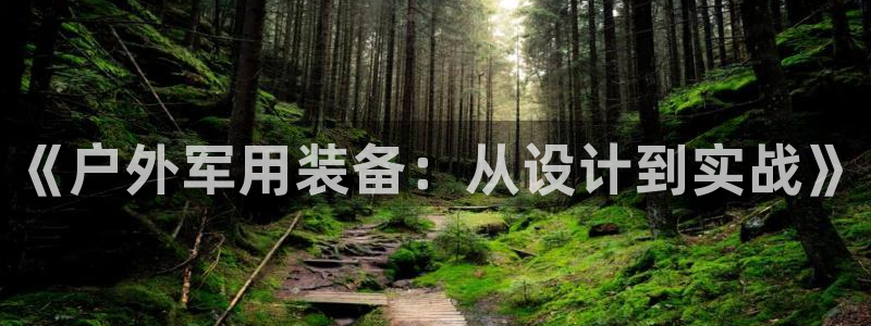 新宝gg登录链接