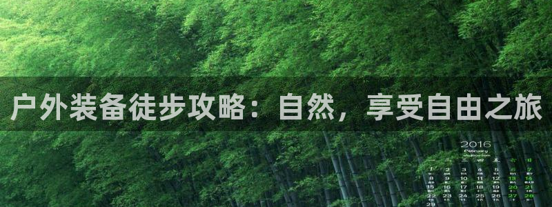 新宝gg入口网址