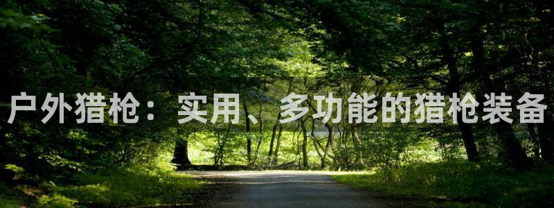 新宝gg 网址