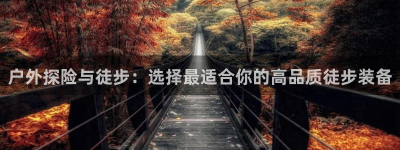 新宝gg指定平台