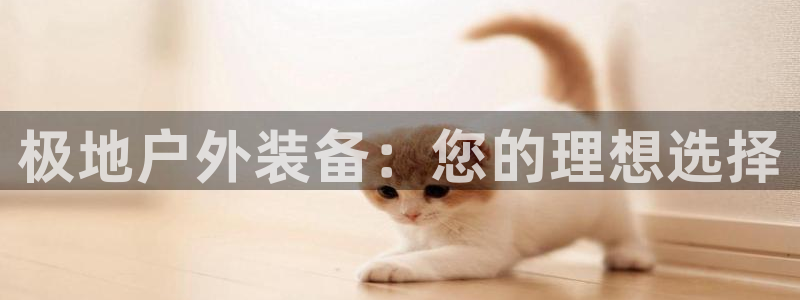 新宝gg平台登录 新宝GG