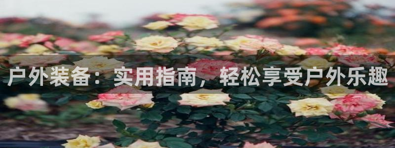 新宝gg游戏平台