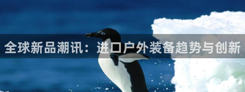 新宝太阳gg