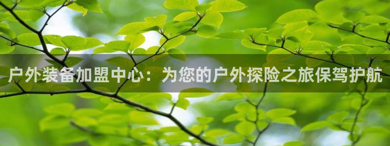 新宝gg挚243553