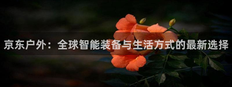 新宝gg下载官网下载