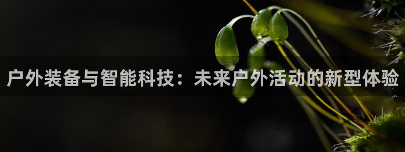 新宝gg登录线路测试