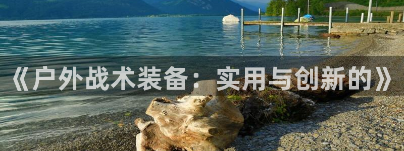 新宝gg怎么样