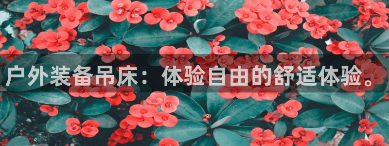 新宝GG绿色