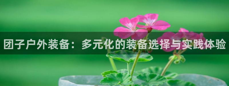 新宝gg app