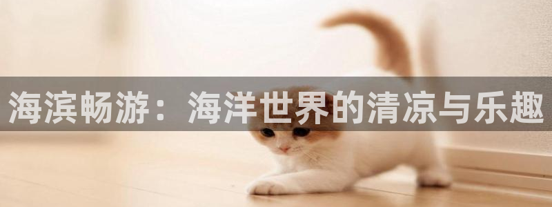 x新宝gg