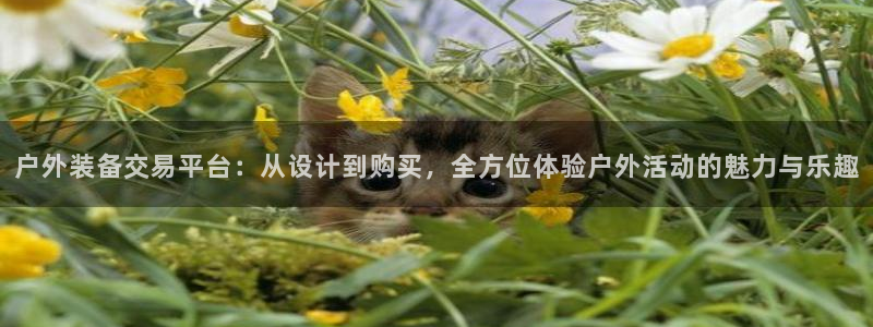 新宝Gg测速地址