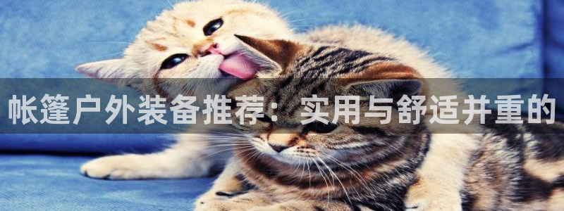 新宝gg登录页面