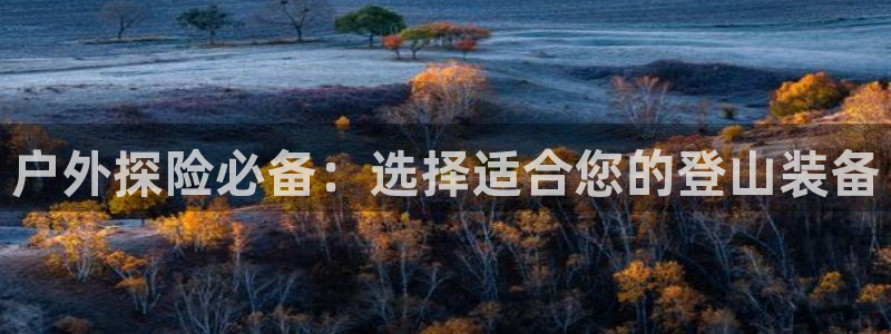 新宝gg主管花木兰