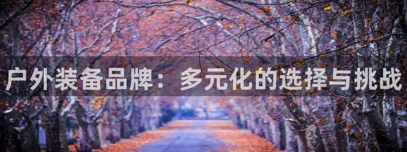 新宝gg下载官网下载