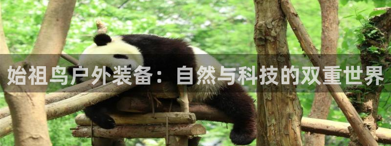 新宝gg娱乐盟主