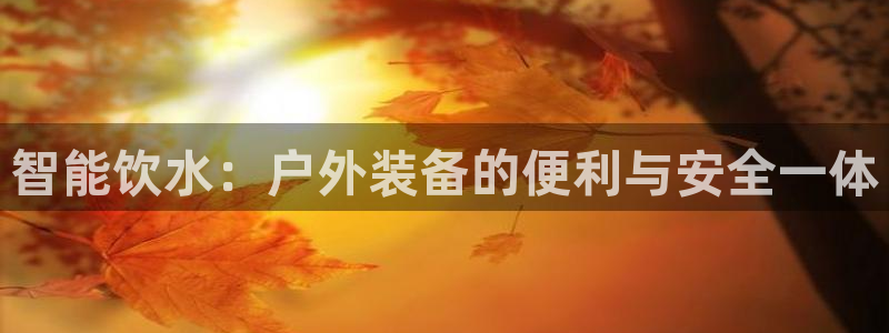 新宝gg娱乐登录地址