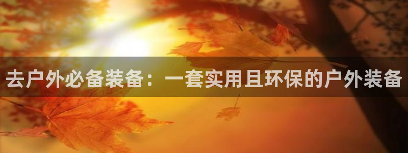 新宝gg如何做到总代理