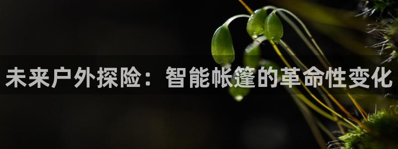 新宝gg创造奇迹平台