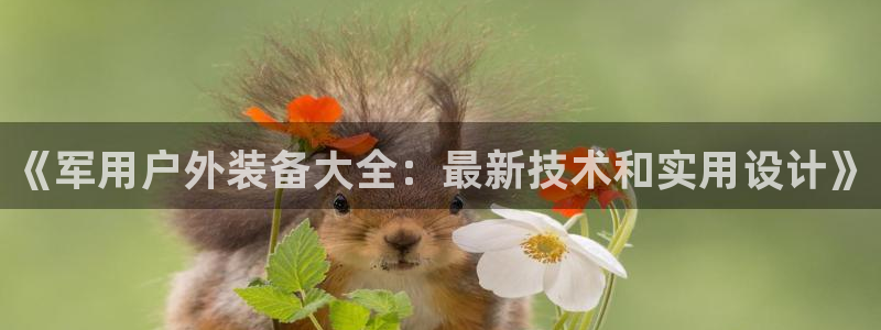 新宝GG53339咨询新宝GG