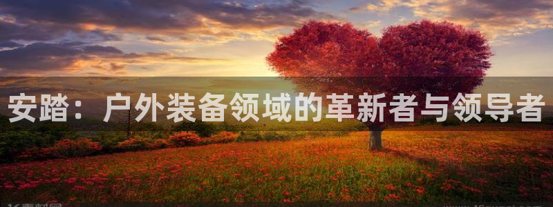 新宝GG无法充值