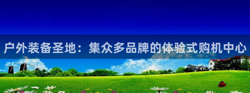 广东新宝电器gg