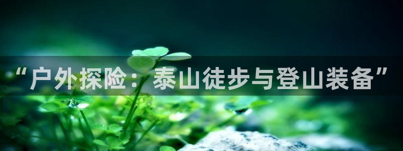 新宝gg怎么做代理