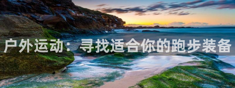 新宝gg下载官网下载