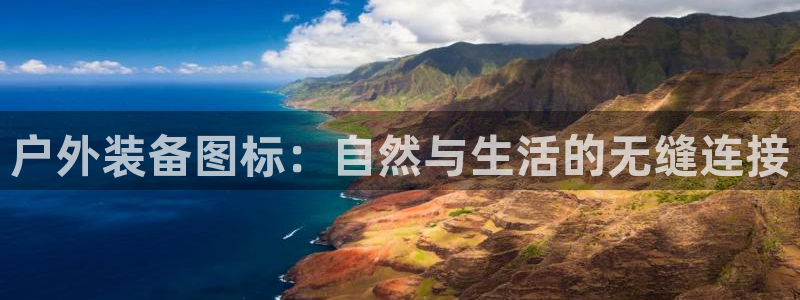 新宝gg手机登录官网