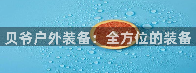 新宝gg娱乐-上鼎狐网