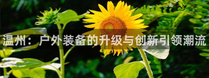 新宝gg登录注册