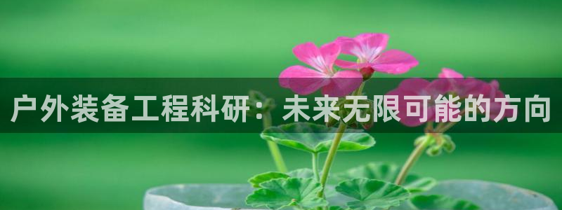 新宝gg登录网址