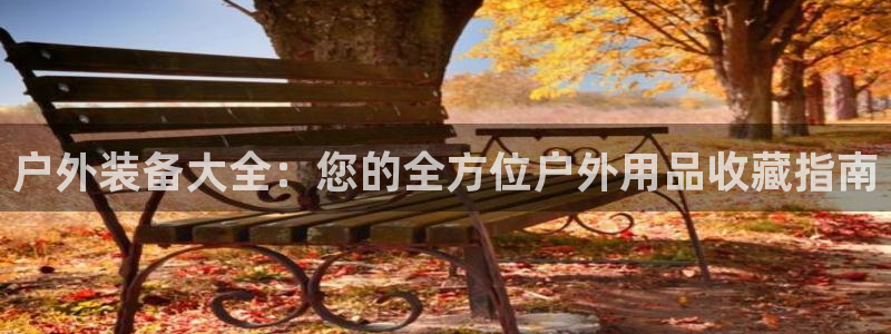 新宝gg手机助手