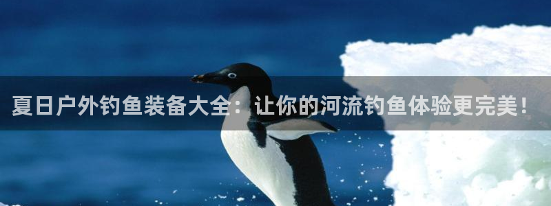 新宝gg和新宝123