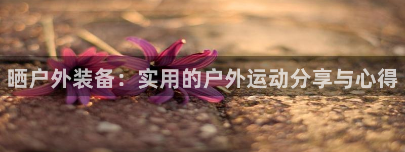 新宝gg平台下载安装