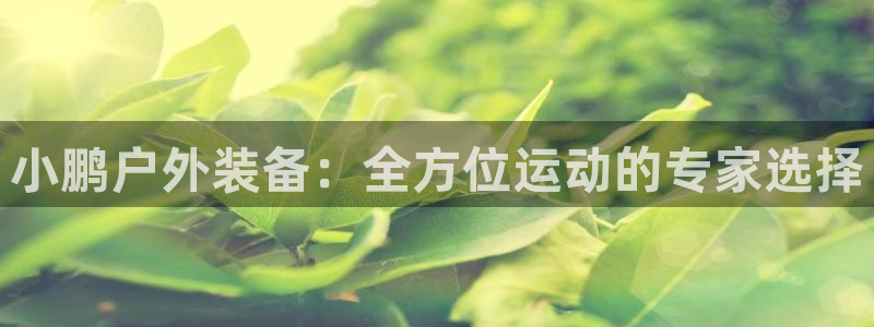 新宝GG用哪个网址登录
