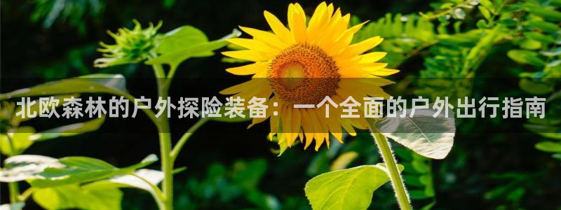 新宝gg创造奇迹下载