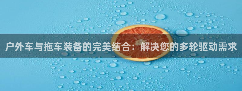 新宝gg登录链接