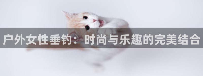 怎么代理新宝gg